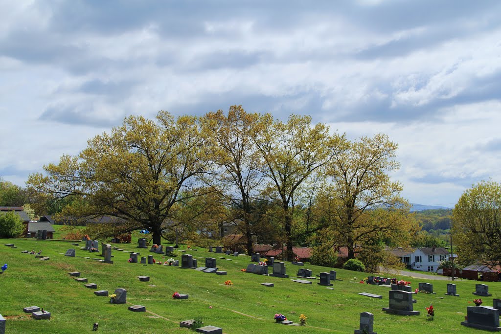 Trees at Westview Cemetery, Radford VA