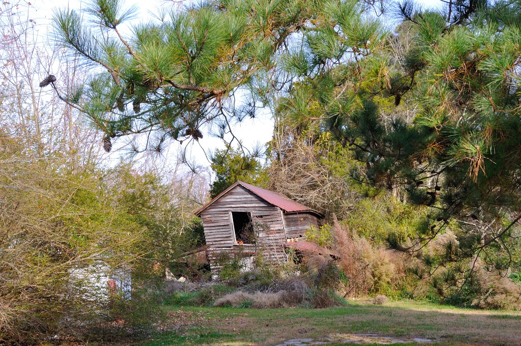 VIRGINIA: ISLE OF WIGHT COUNTY: RUSHMERE: collapsing barn behind unoccupied premises on Old Stage Highway (S.R. 10)