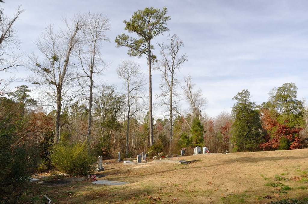 VIRGINIA: ISLE OF WIGHT COUNTY: RUSHMERE: First Gravel Hill Baptist Church, 5186 Old Stage Highway (S.R. 10) cemetery