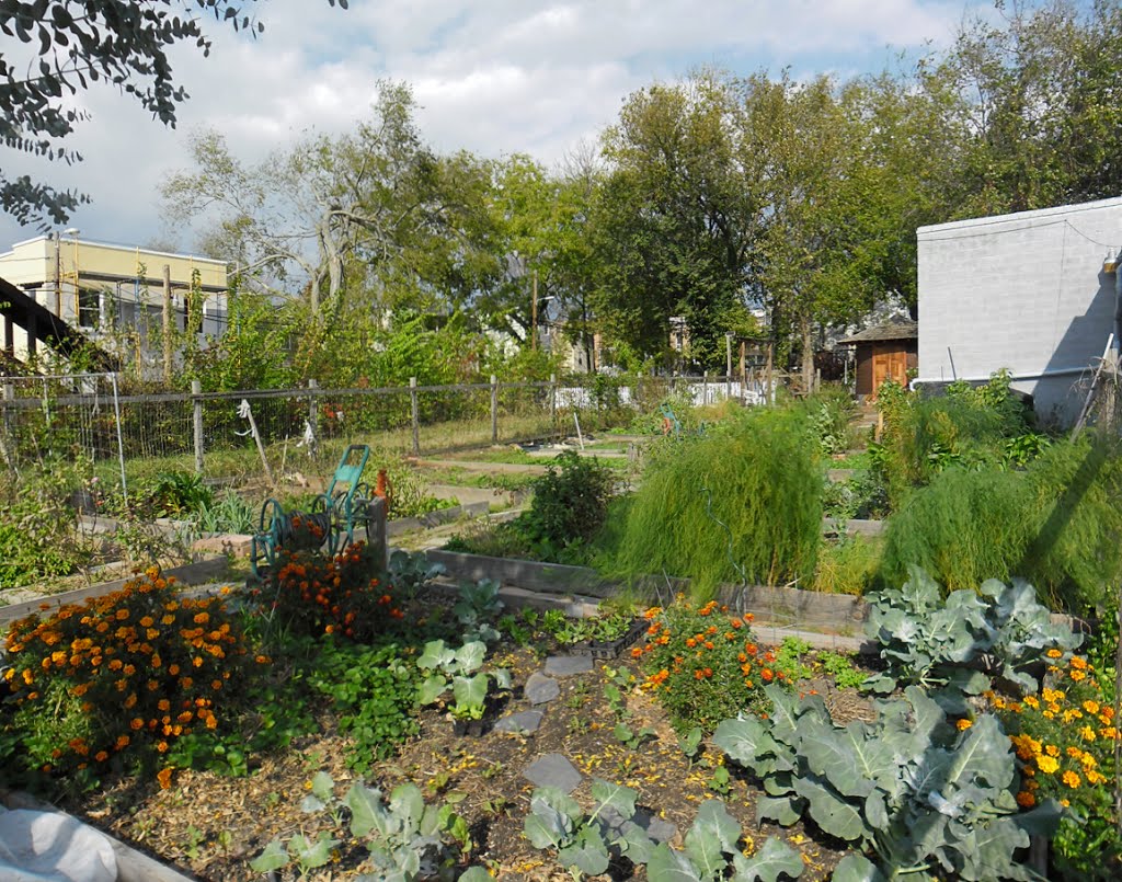 Jefferson Avenue Community Garden - Church Hill, Richmond, VA.