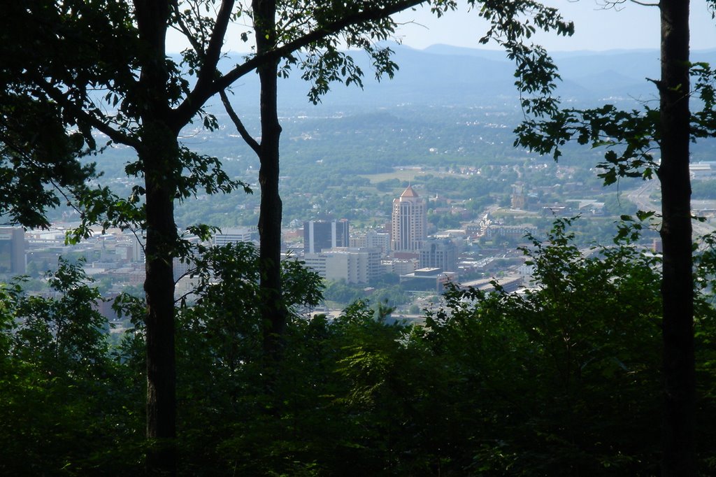 Roanoke From Mill Mountain Trees