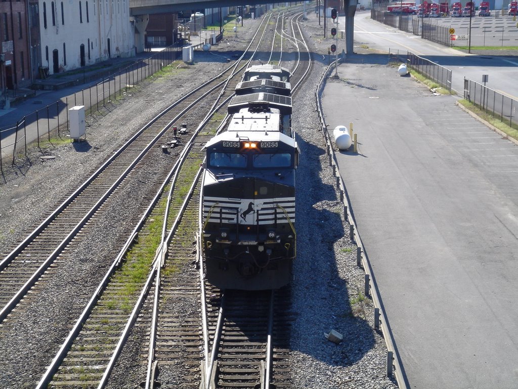 NS Train in Roanoke ViRgInIA!
