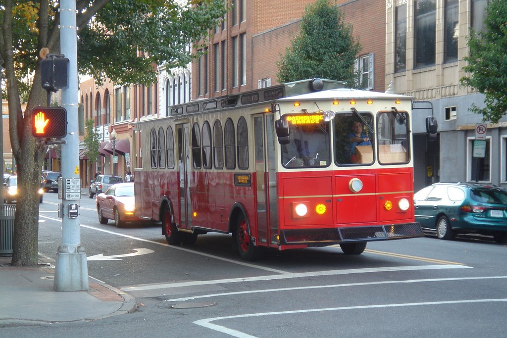 Roanoke City Bus
