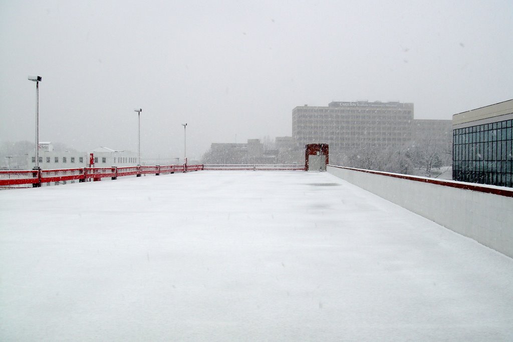 Elmwood Parking Garage in the 2009 Snow