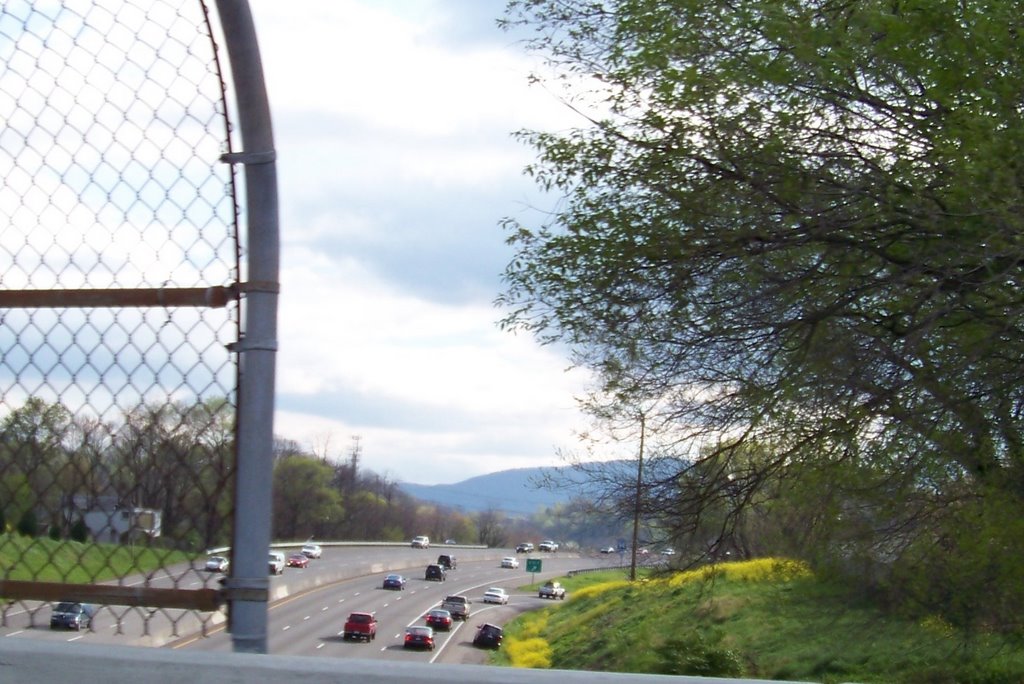 I-581 from Brandon Ave overpass