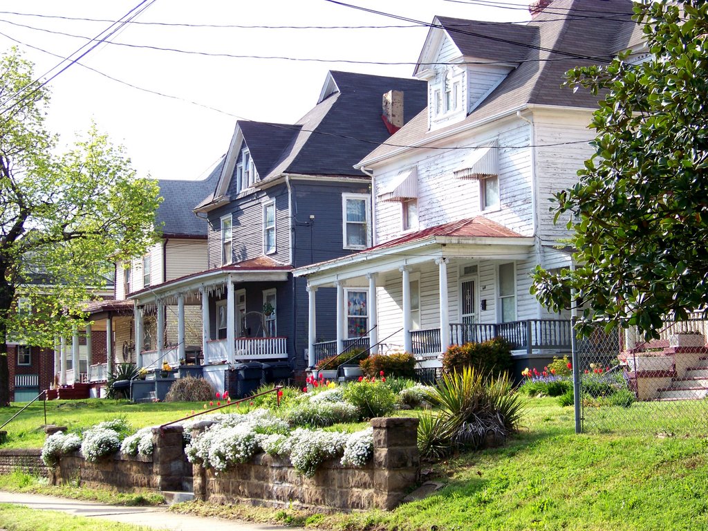 Roanoke Living during the Spring