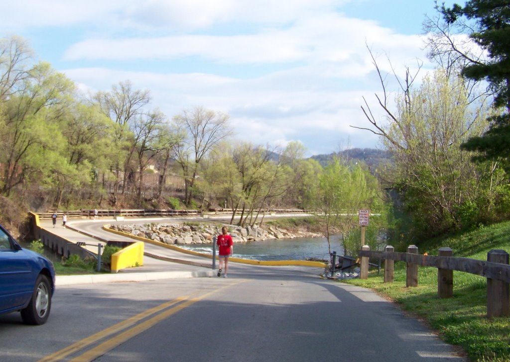 Wiley Drive