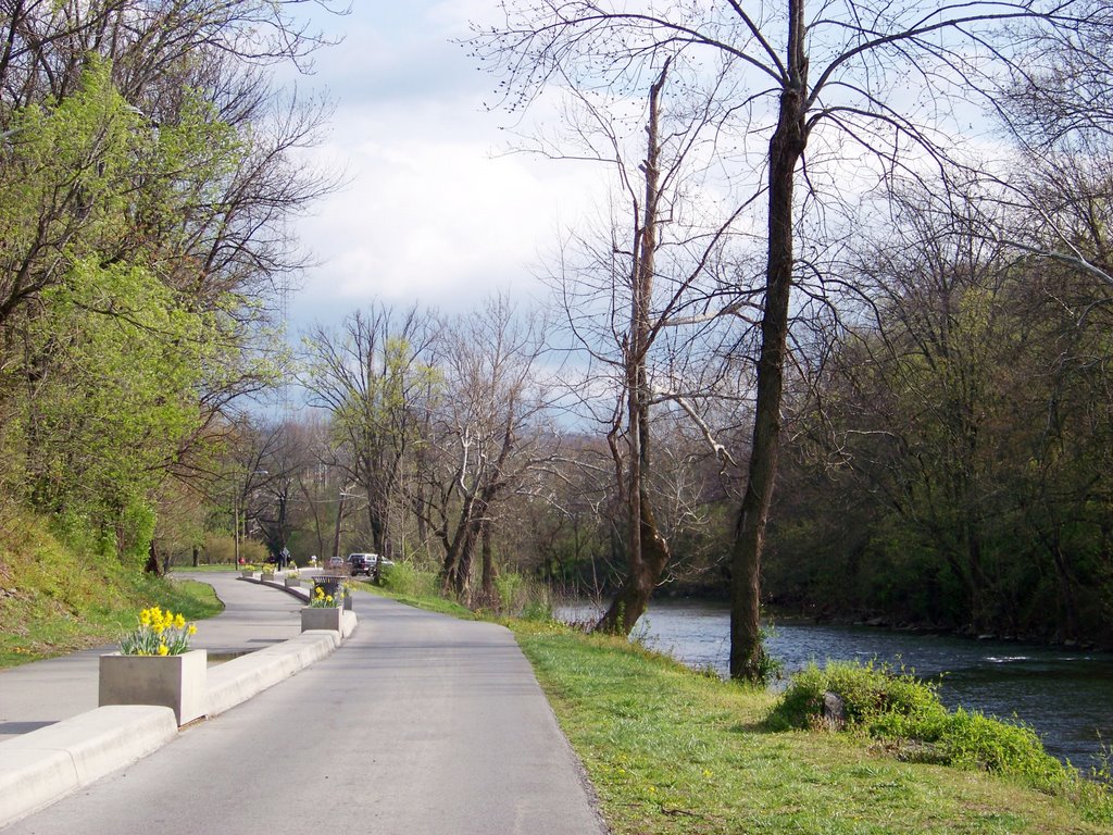 Wiley Drive