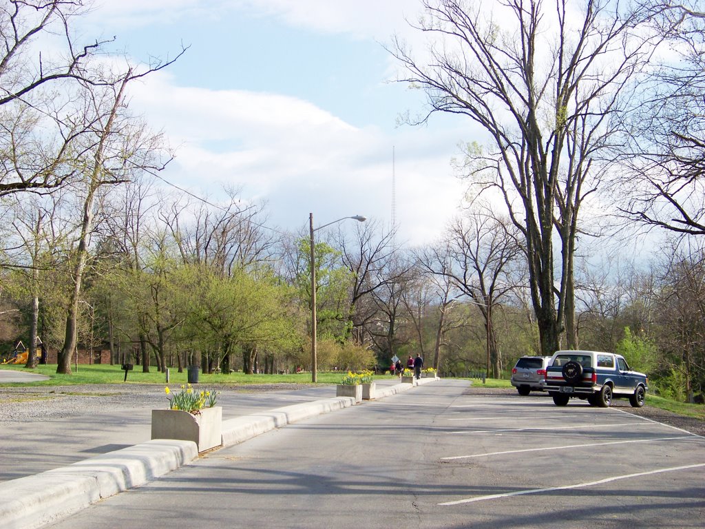 Wiley Drive