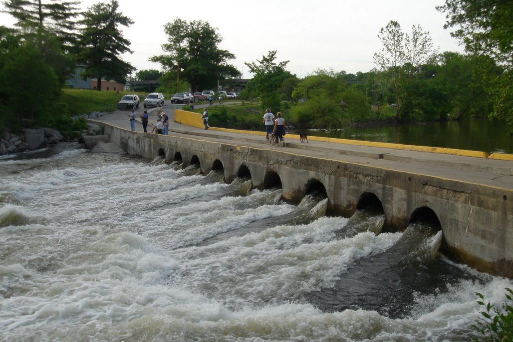 Water near Wasena Park