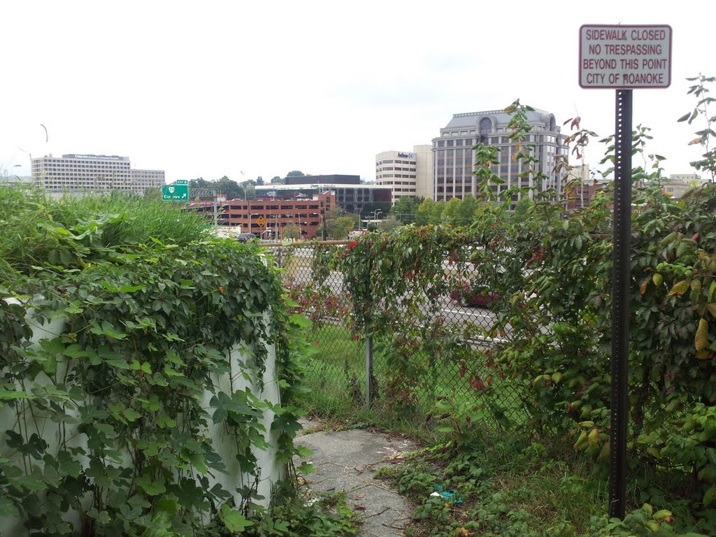 Roanoke Va