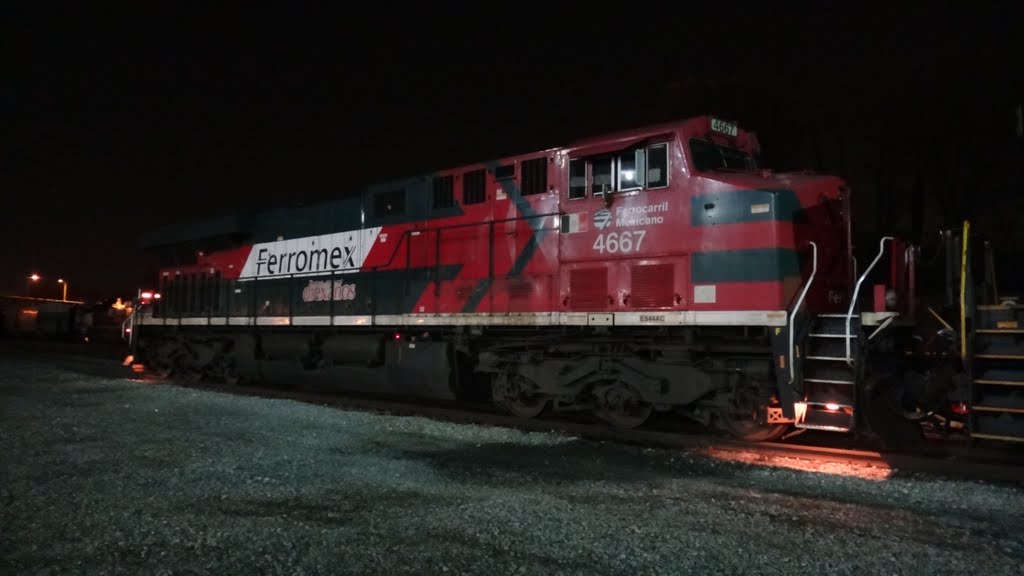 Ferromex 4667