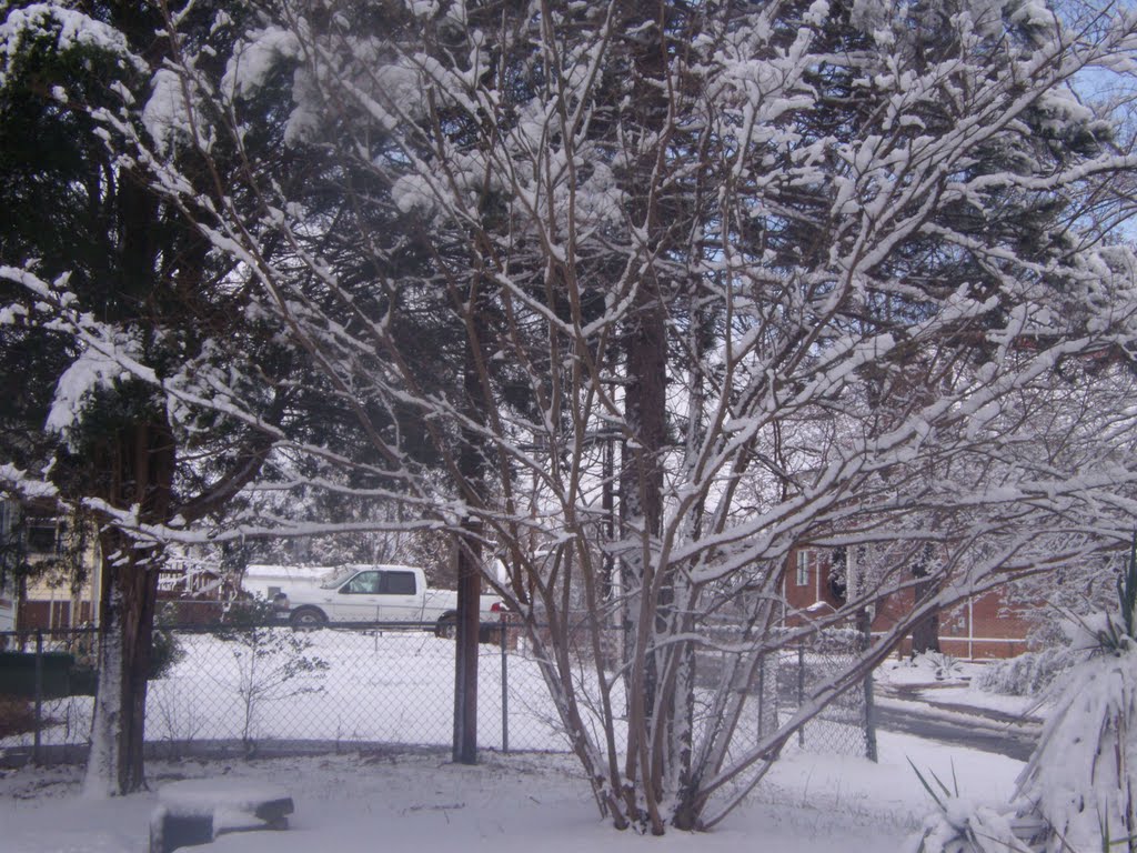 South Central Snow 2009