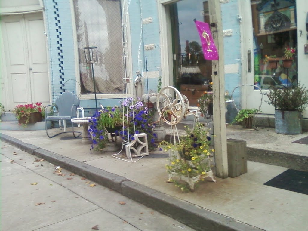 Quaint Main Street Store