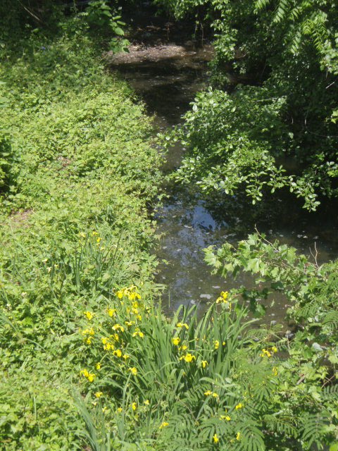 Four Mile Run Stream Restoration