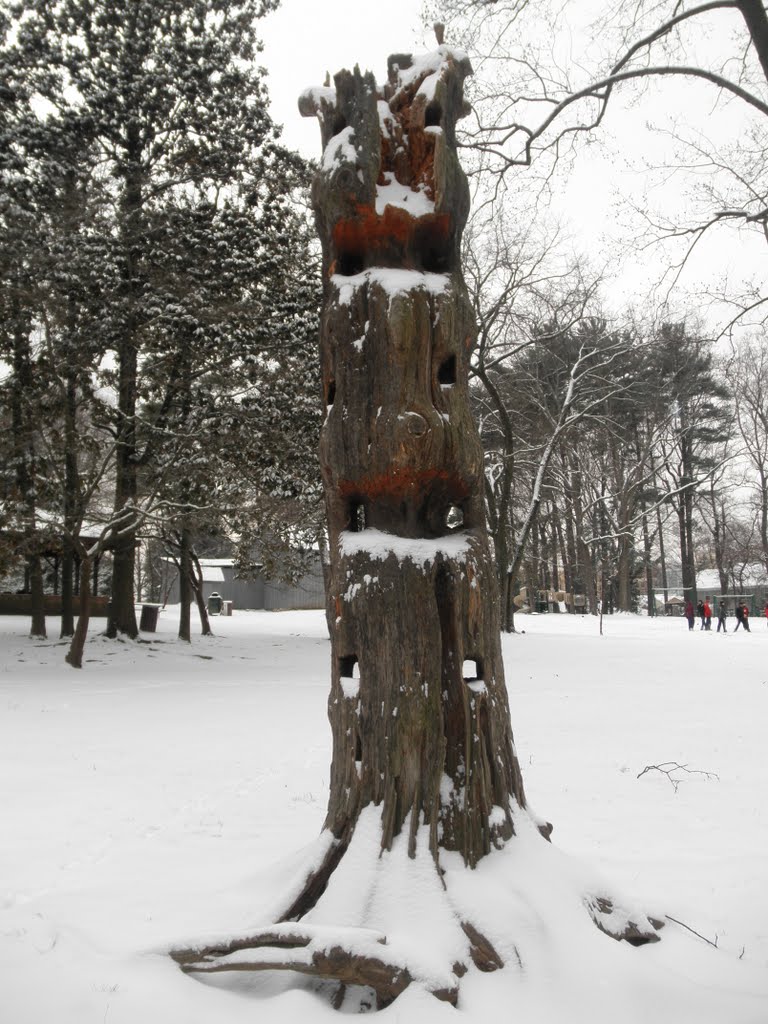 carved climbing tree in Cherry Hill park