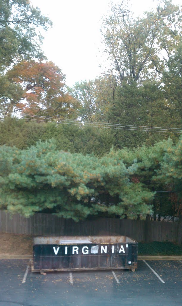 Lonely View of Virginia