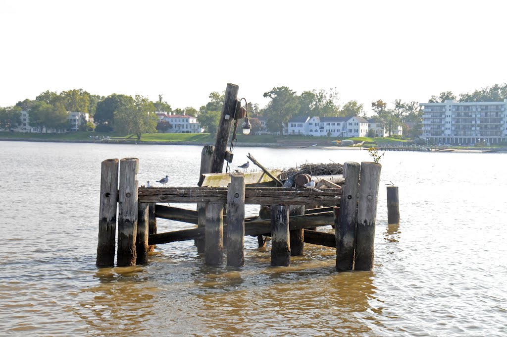TMSP - Disused Oil Unloading Pipeline Jetty on the Rappahannock River at Tappahannock