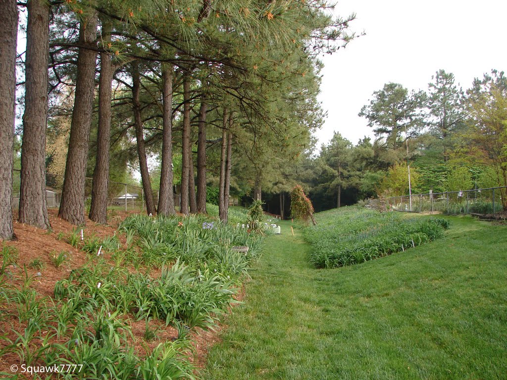 Old Civil War Trench