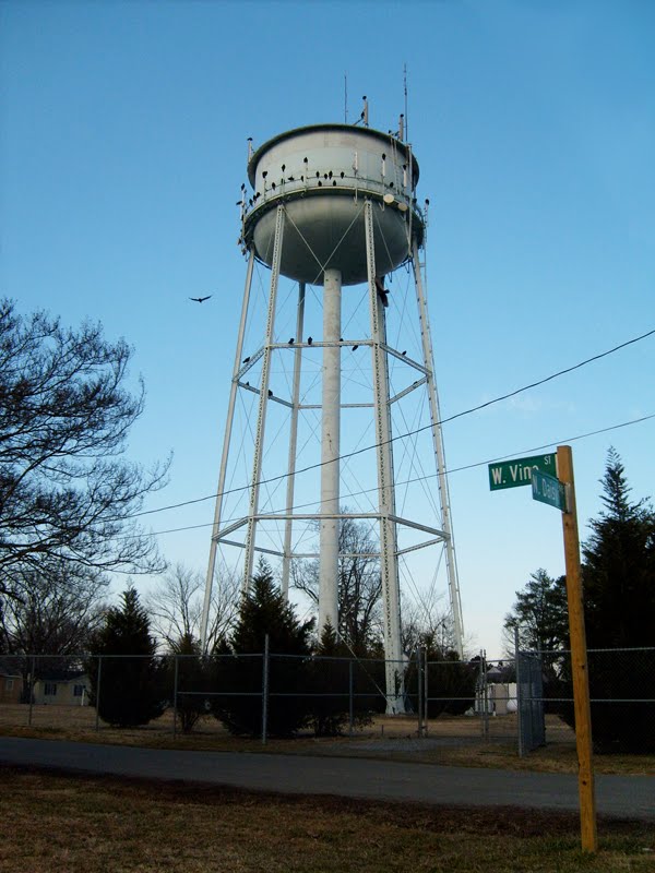 Vultures on the Water Tower - Highland Springs, Henrico County, VA.
