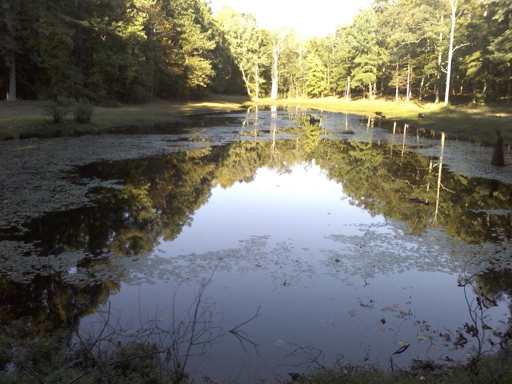 GENERAL SMITH DR POND