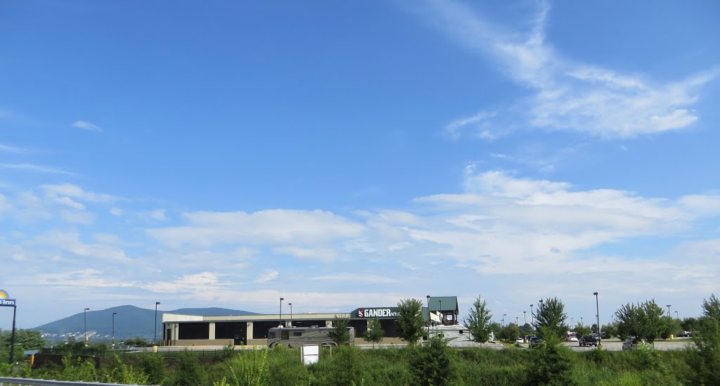 Gander Mountain