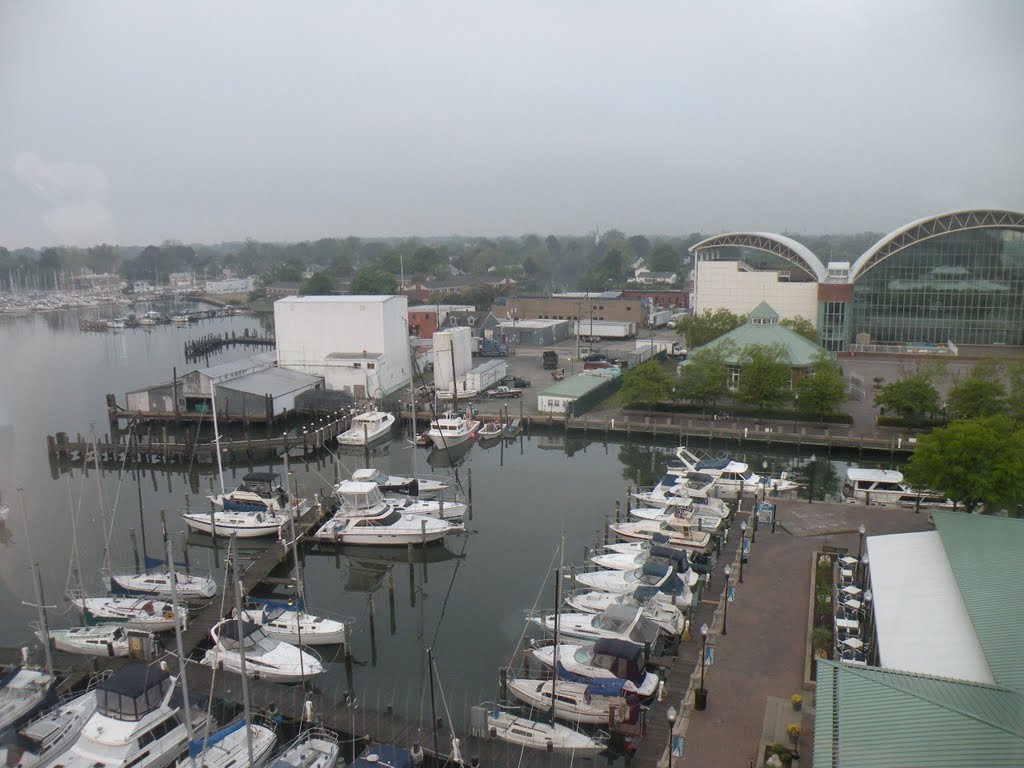 View of Marina from Hotel Room at the Crown Plaza