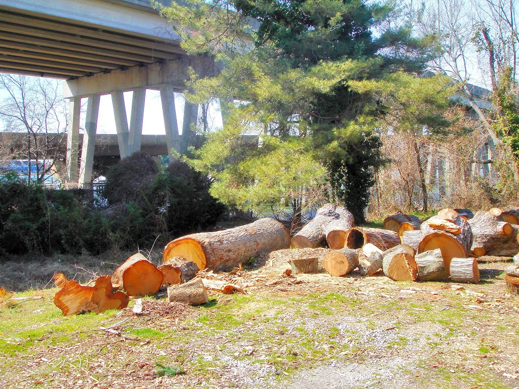 VIRGINIA: HAMPTON: private logs at the private drive end of Graham Heights Road