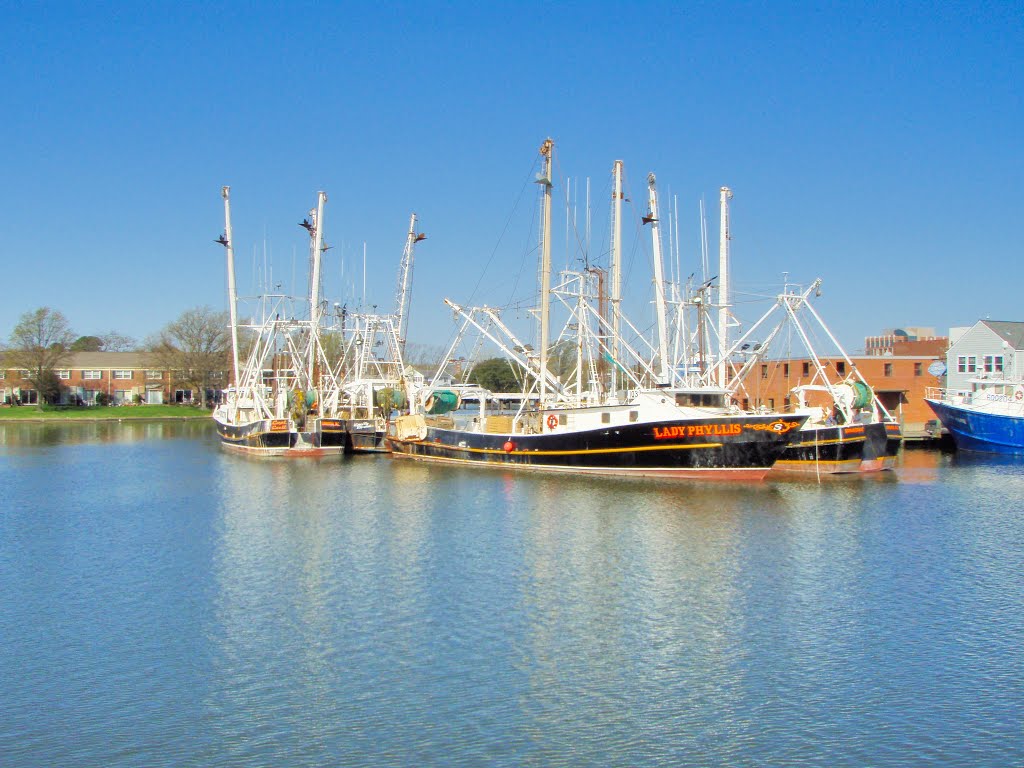 VIRGINIA: HAMPTON: trawler fleet in port on the Hampton River