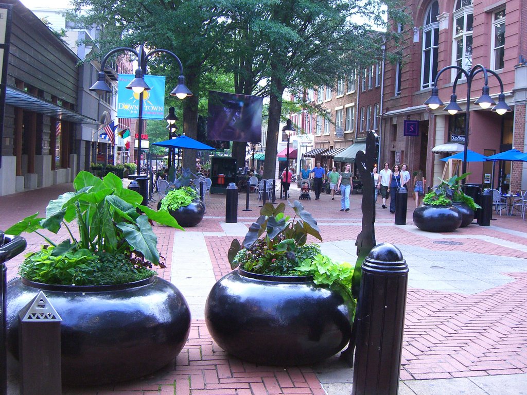 Charlottesville Downtown Promenade