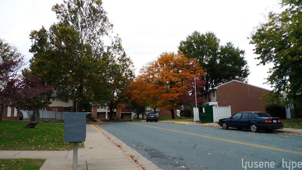 Hardy Drive @Westhaven