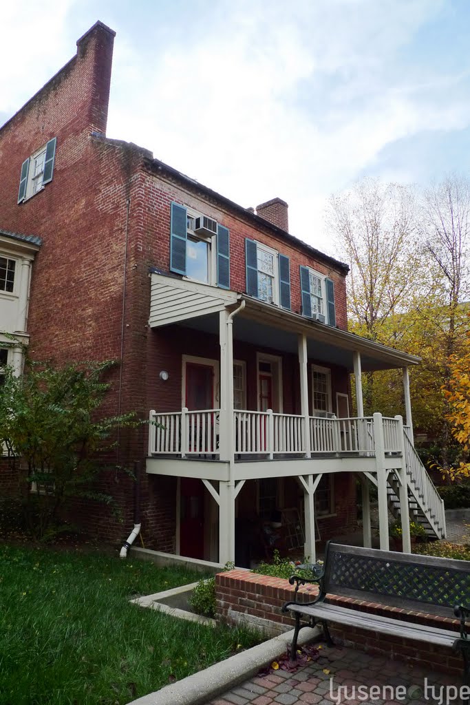 Dinsmore House Bed & Breakfast - Backyard