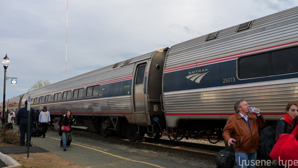 Amtrak Passenger Cars @Charlottesville