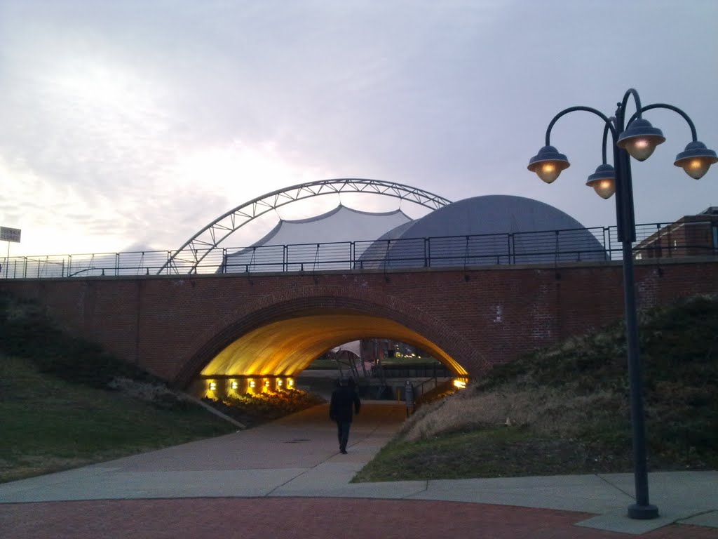 Under the Belmont Bridge