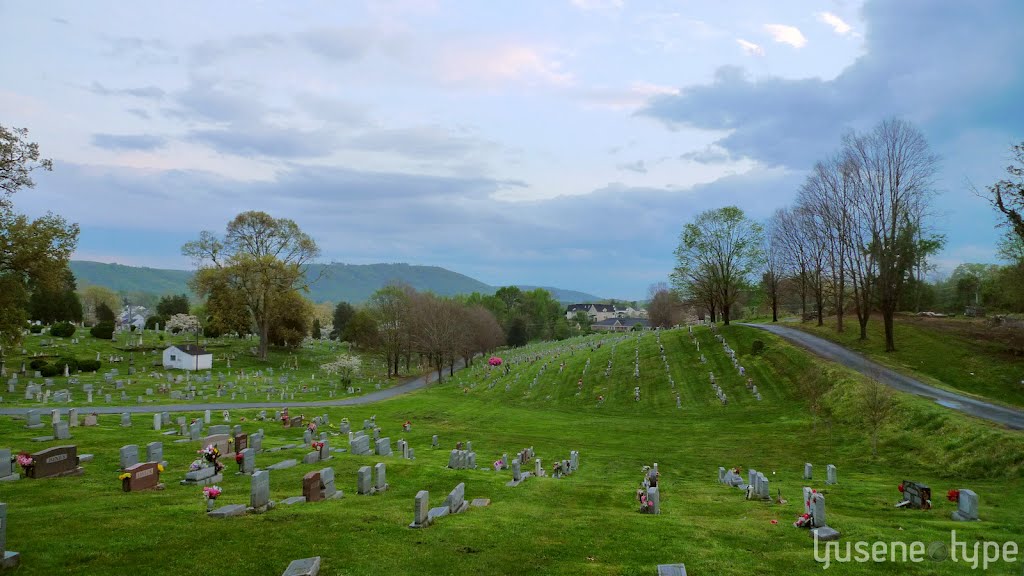 Oakwood Cemetery looking south from Oak St