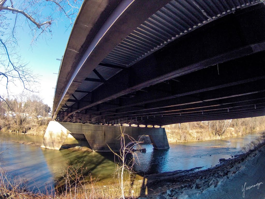 Rivanna Trail under Free Bridge