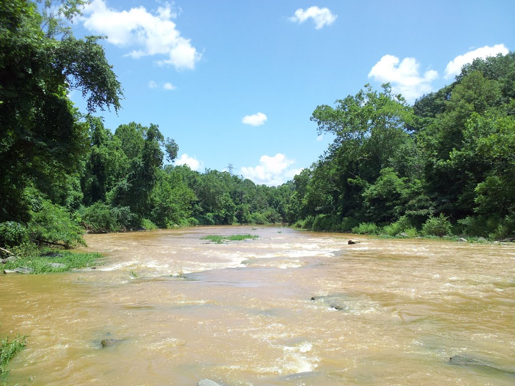 A nice view of the river