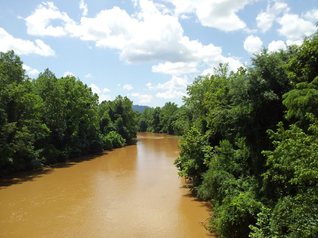 Brown Rivanna River