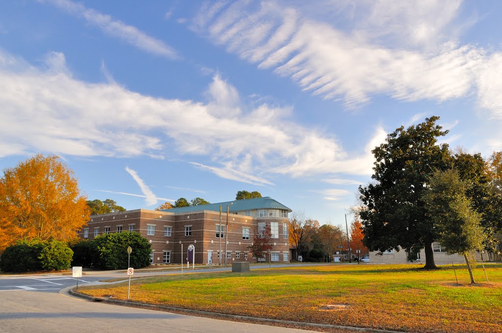 VIRGINIA: CITY OF CHESAPEAKE: Public Library, 298 Cedar Road