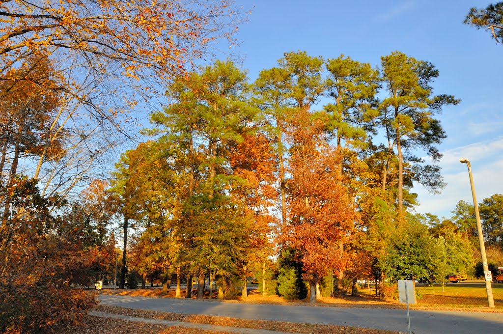 VIRGINIA: CITY OF CHESAPEAKE: driveway to public parking for Juvenile and Domestic Relations District Court, 301 Albemarle Drive