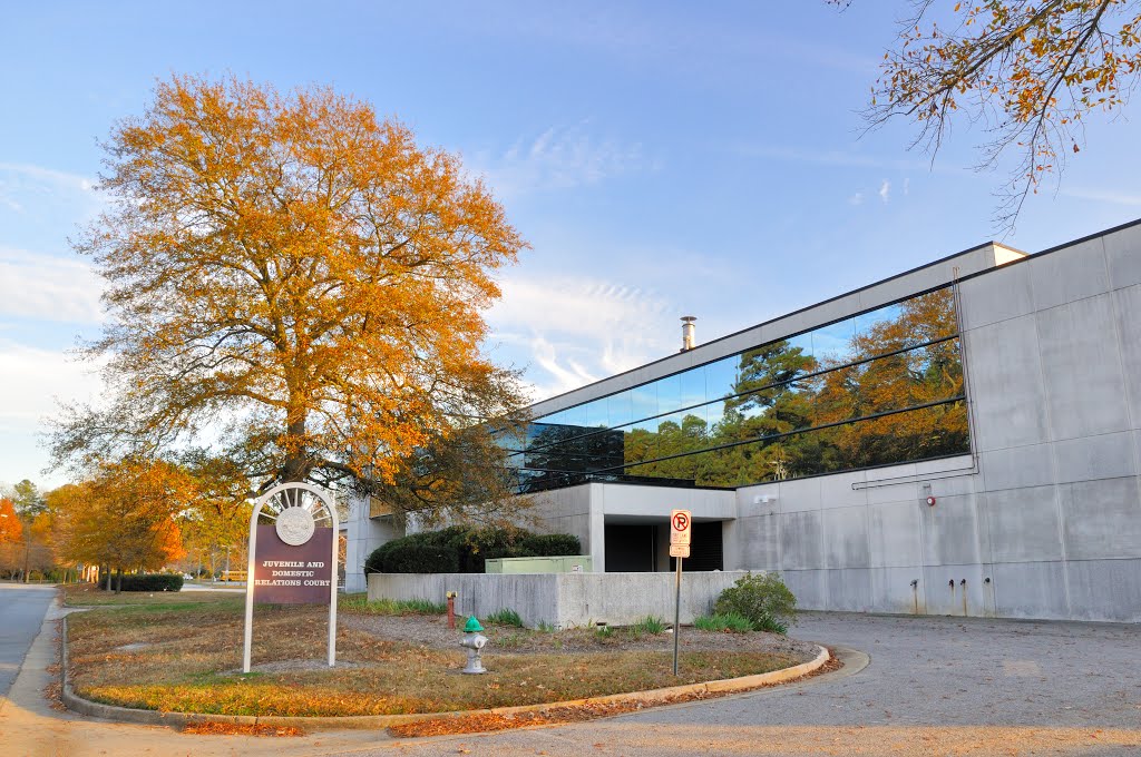 VIRGINIA: CITY OF CHESAPEAKE: Juvenile and Domestic Relations District Court, 301 Albemarle Drive rear aspect 2