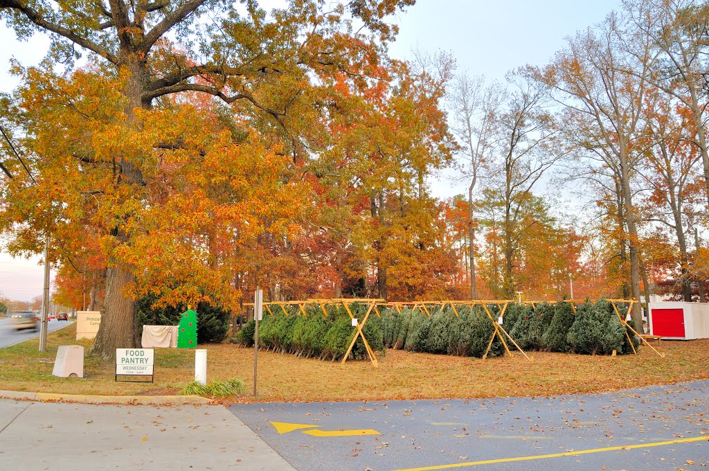 VIRGINIA: CITY OF CHESAPEAKE: Prince of Peace Catholic Church, 621 Cedar Road Christmas trees for sale