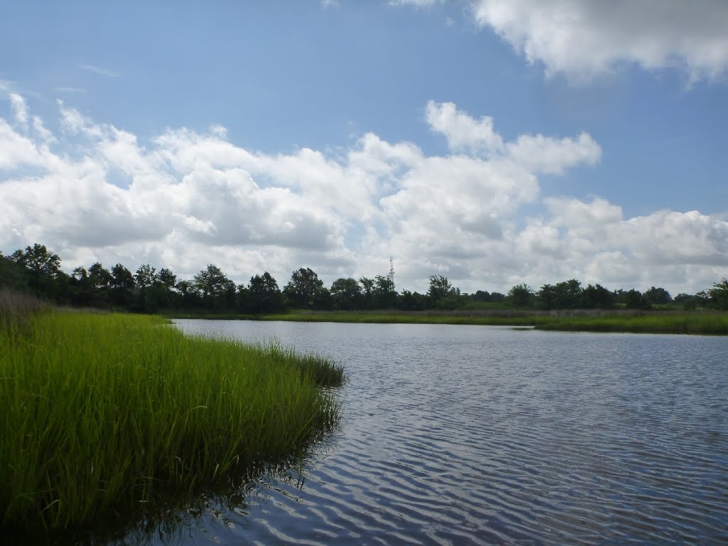 Bells Mill Creek