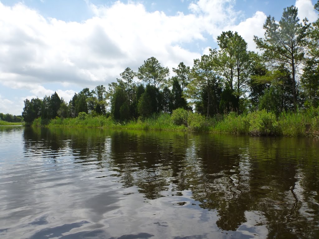 Bells Mill Creek