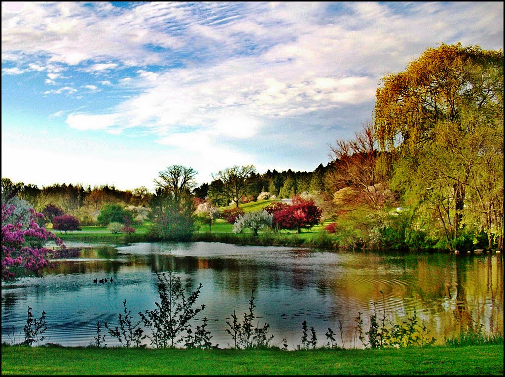 Obojeno jezero...Greenfield Park (R)