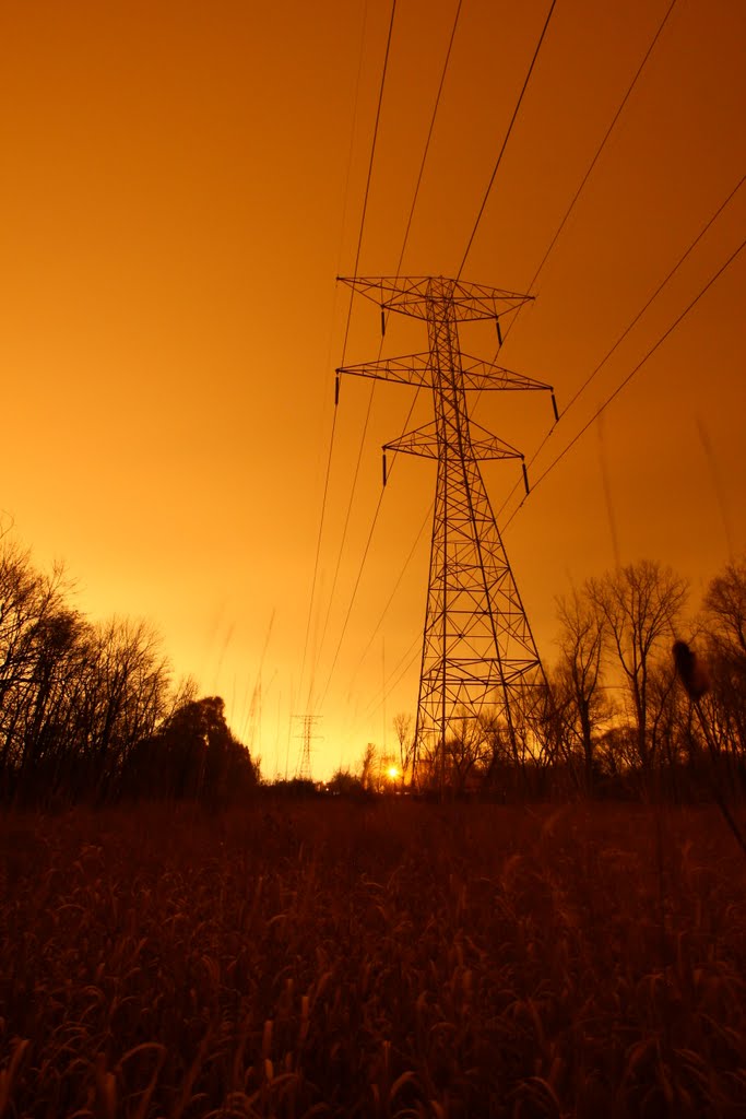 The Source of Light Pollution