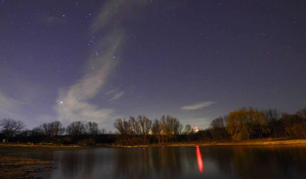 Wispy Night