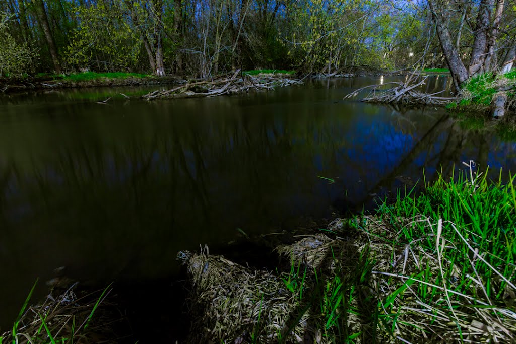 Along the Fox River