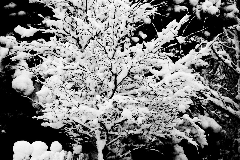 Southern Wisconsin Snow Fall