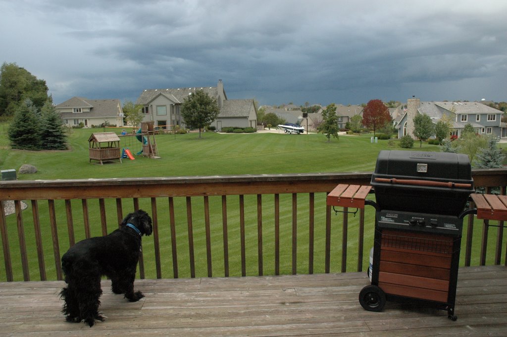 Back Yard View
